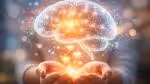 Gratitude Brain Neuroscience